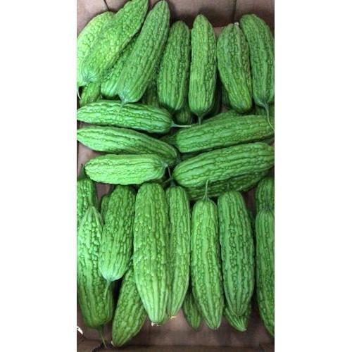 苦瓜 一箱/8kg