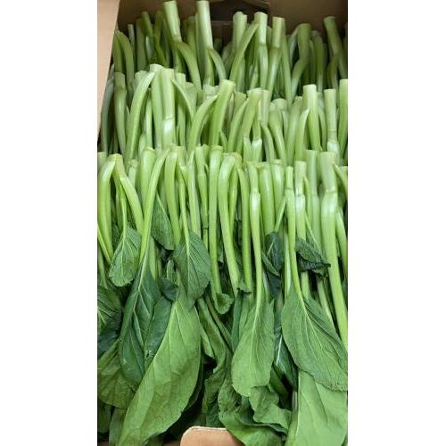本地农场菜心 约2kg