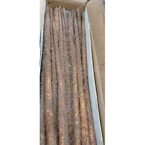 正宗铁棍淮山  1箱/约10kg