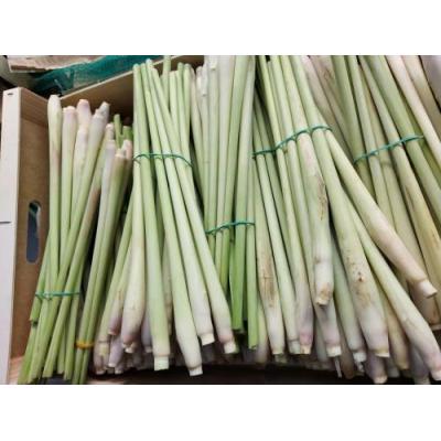 新鲜香茅 12*80g