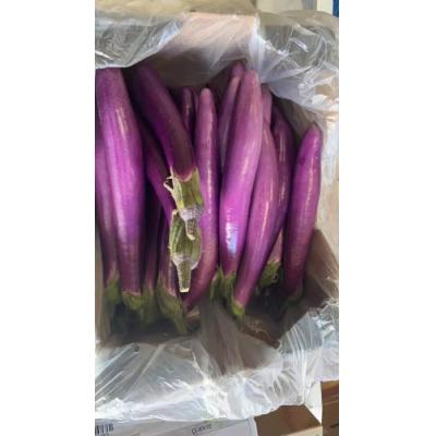 长茄子  大箱 1箱约7kg