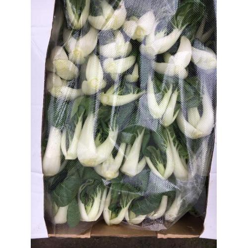本地农场白菜 1箱约2kg