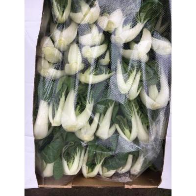 本地农场白菜 1箱约2kg