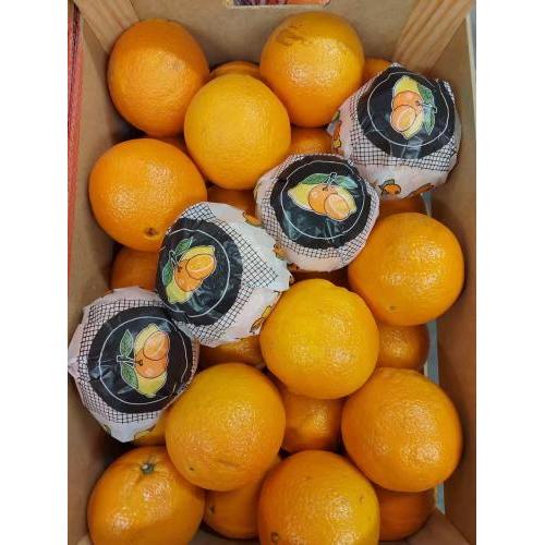新鲜 甜橙 1箱