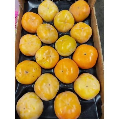 新鲜大个超甜柿子 1箱约16个