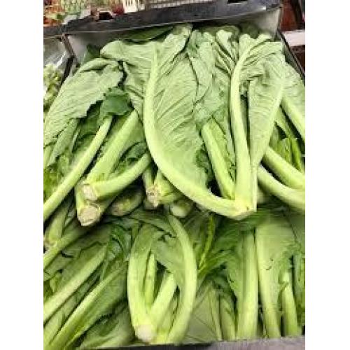 长芥菜 1箱约6kg 约40厘米长