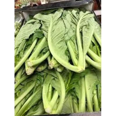 长芥菜 1箱约6kg 约40厘米长