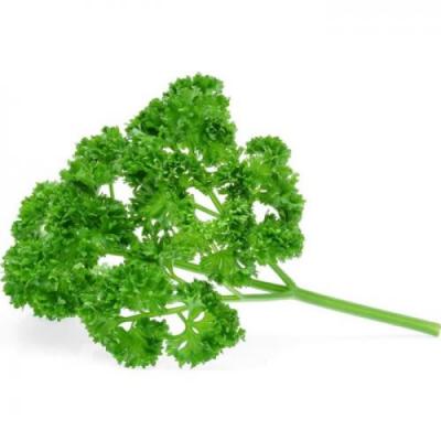 新鲜 欧芹 1捆