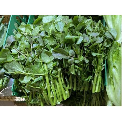 本地农场 新鲜西洋菜 约2kg
