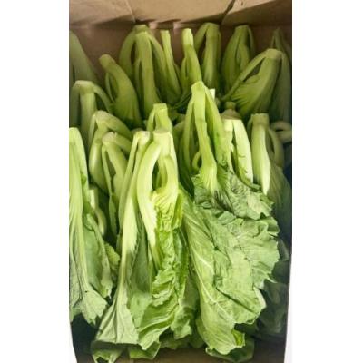 本地农场靓芥菜 小箱 约2kg
