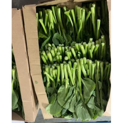 本地农场直供 靓菜心 1箱约4公斤