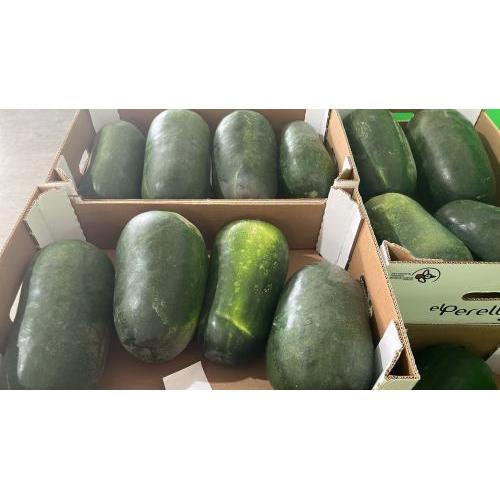 西班牙 小冬瓜 1箱约12kg (3到4条）£2.10/kg