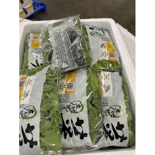 中国空运 豆苗 包装 1包约150g（整箱购买，£2.50一包，1箱30包）