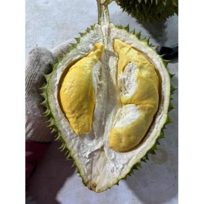 越南空运 RI6 整个榴莲 1个约3kg £13.00/kg