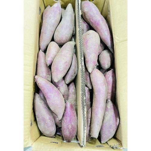 紫番薯 1箱 约10kg