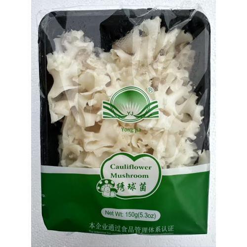 新鲜 绣球菌 150gX20