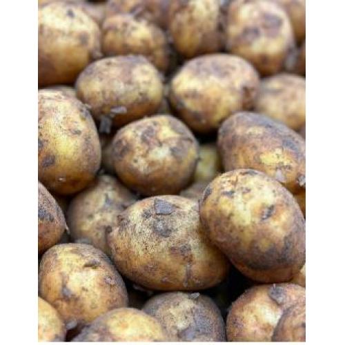 土豆 整袋（未清洗） 25kg