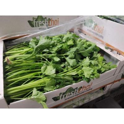 中国芹菜 6kg