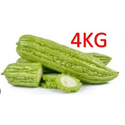 苦瓜 约4kg