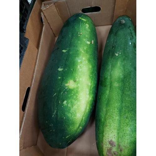 本地黑皮大冬瓜 1箱2条 约12kg （￡2.50/kg)