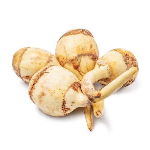 新鲜 茨菇 1箱约10kg