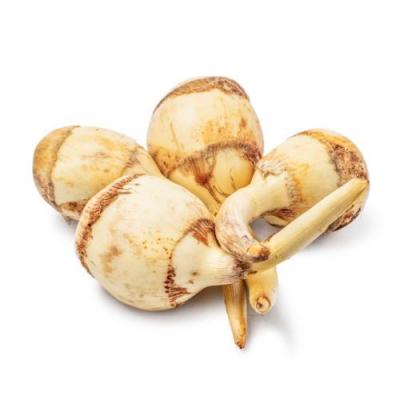 新鲜 茨菇 1箱约10kg