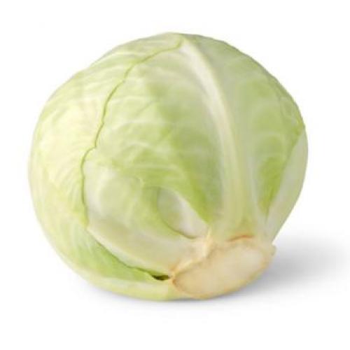 西包菜 25公斤
