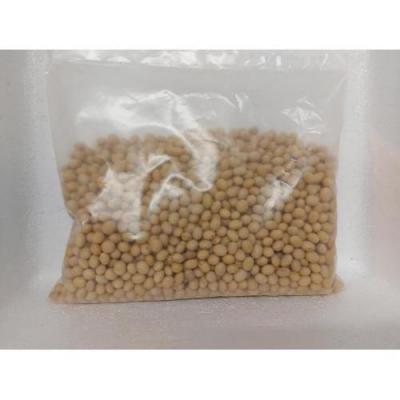 黄豆 500g