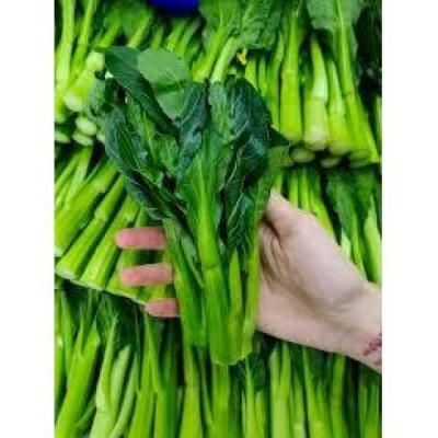 中国空运 菜心 散装 1箱约5公斤